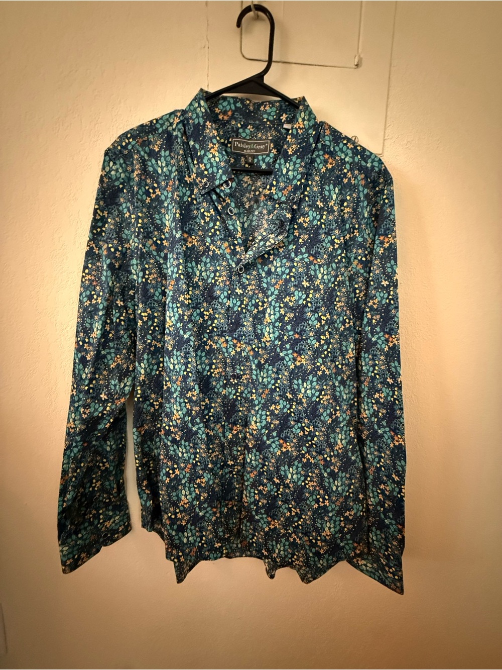 Blue Floral Print Long-Sleeve Button-Down Shirt